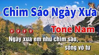 Karaoke Chim Sáo Ngày Xưa Tone Nam  Nhạc Sống Nguyễn Linh