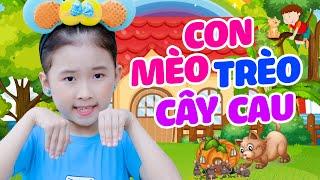 Con Mèo Trèo Cây Cau - Nhạc Thiếu Nhi Sôi Động Cho Bé Ăn Ngon - Vì Sao Con Mèo Rửa Mặt