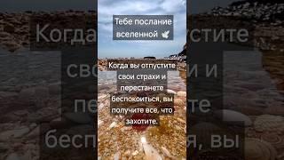 Принимай в комментариях с щедростью БЛАГО ДАРЯ из любви к СЕБЕ #чудесавселенной #изобилие #любовь