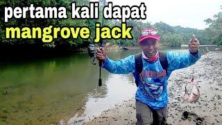 strike mangrove jack - sambaranya bikin kaget - V12