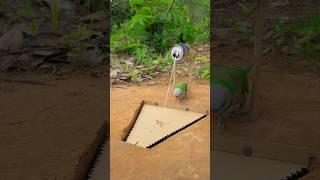 Beautiful DIY Parrot Trap In Jungle #youtubeshorts