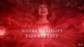 Wanda Maximoff  Bird Set Free