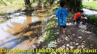 TUTORIAL MENCARI LUBANG BELUT DI KEBUN SAWIT  A tutorial on finding eel holes in a palm plantation