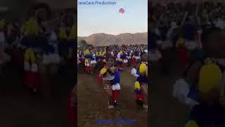Swaziland  reed dance