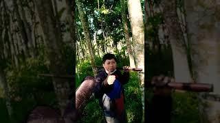 mantap mantap di hutan sepi