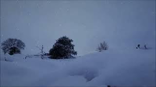 Relaxing Snowstorm.. Strong wind and winter sounds.. Nature forest meditation music..