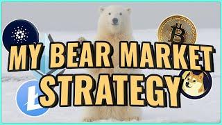 My Strategy for handling a crypto BEAR market - How Millionaires are Made