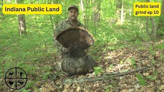 Hunting Big Hardwood Timber Turkeys