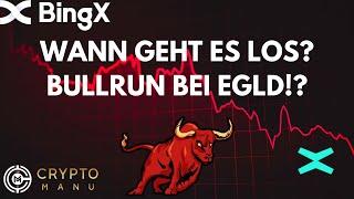 BULLRUN BEI EGLD? WANN LOHNT SICH EIN EINSTIEG?