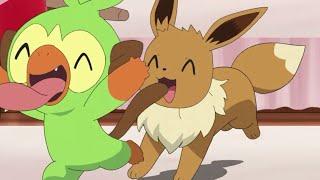 Grookey & Eevee Cute Moments  Pokemon Journeys Episode 82.