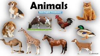 Animals Name  Learn Animals Name in English  Animals Name Basic English Learning  Unit # 08