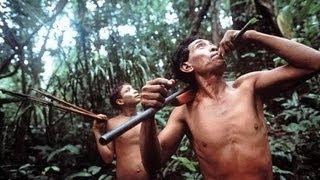 Nomads of the Rainforest PBS NOVA 1984
