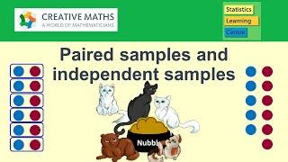 Paired samples and independent samples for statistical analysis - statistics help