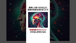 精神科医が実践する「お金をかけない楽しみ方」3選【精神科医・樺沢紫苑】