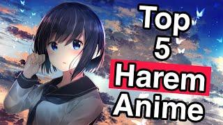 Top 5 Best HighschoolHarem Anime  Hindi  Part 2