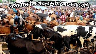 বর্তমান সময়ে সিলেট জগন্নাথপুর বিশাল গরুর হাট। part 2#Gramexplorer#