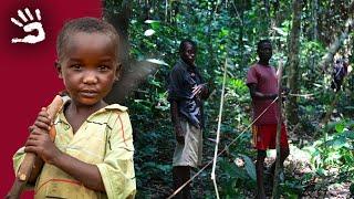 The Pygmies of Congo Challenges Hopes and Identity - Hunter-gatherers - Documentary - AMP