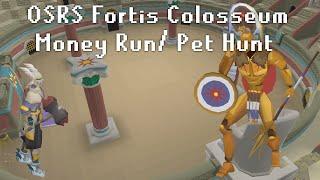 OSRS Fortis Colosseum - Faster Money Run Setup - Ironman Friendly - Range Camp