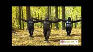 Erik dalı gevrektir dinle ▶ Goriller kopukAnkara Oyun havası erik dalı gevrektir maymunlar koptu