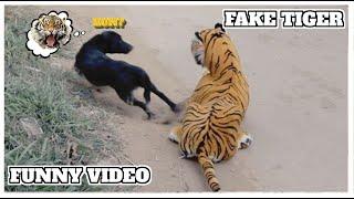 Fake Tiger vs Sleeping Dogs - Funny Videos 2021 - TRY NOT TO LAUGH Episode 14