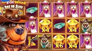 HE HAD 10 SPINS WITH THIS PERFECT SETUP ON THE NEW DOG HOUSE BONUS