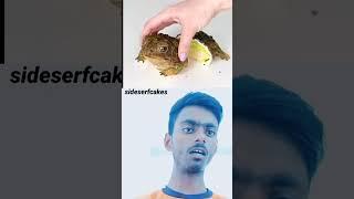 Cake VS Fake impossible challenge #shorts #youtubeshorts