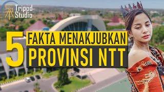 5 Fakta MENAKJUBKAN Provinsi NTT WAJIB NONTON  Fakta Unik NTT