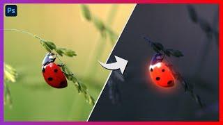 Glowing Ladybug Photo - Photoshop Tutorial  Glowing Effect