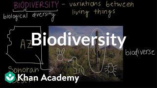 Biodiversity  Biodiversity and human impacts  High school biology  Khan Academy