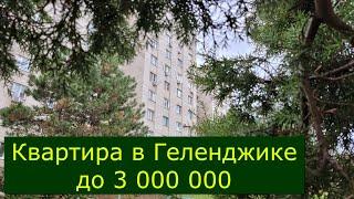 Купить КВАРТИРУ в Геленджике до 3 000 000 рубБюджетное жильё на КУРОРТЕ #Обзор#Геленджик#Квартира