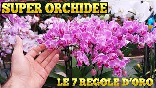 ORCHIDEE 7 TRUCCHI e SEGRETI per ORCHIDEE BELLE E SANE come FARLE RIFIORIRE e RIPRODURRE