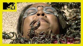 6 ‘Fear Factor’ Moments That’ll Make Your Skin Crawl   MTV Ranked