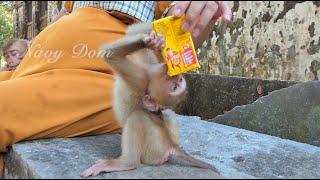 Baby Angela finally getting milk from mom KT after cry request mom feed milk for long time