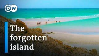 Socotra - The treasure island between Yemen and Somalia  DW Documentary