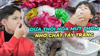 Thám Tử Nhí Tập Đặc Biệt #162 Cảnh Giác Mứt Thơm Ngon Dịp Tết Hóa Ra Là Dừa Thối Tẩm Hóa Chất