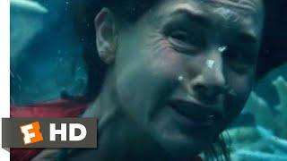 Old 2021 - Swimming Through the Coral Scene 910  Movieclips