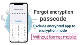 forgot encryption lockprivacy password  forgot app encryption password  data recovery no format