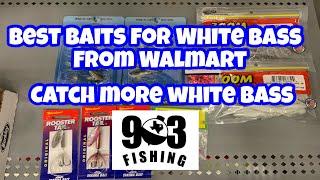 Best Lures For White Bass Fishing & Tips  White Bass Run 2021  Sandie Candy