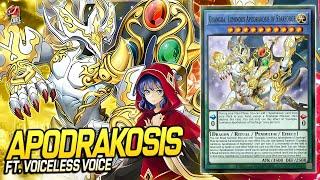 Deck Apodrakosis Voiceless Voice EDOPRO  Replays  + Decklist ️