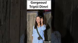 Did you noticed Triptii Dimris EXPENSIVE bag?  Bollywood Life  Shorts