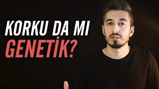 Korkaklık Psikolojisi  Korkularımız Genetik mi?