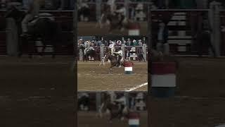 Astrodome 1988 Houston Livestock Show and Rodeo