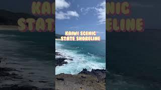 Must SEE Beaches when visiting Honolulu Hawaii #shorts #hawaii #honolulu #oahu