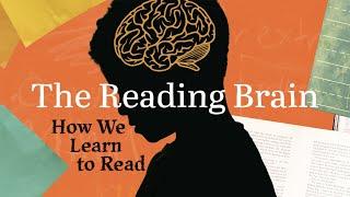 The Reading Brain  How We Learn To Read