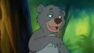 Young Baloo the Bear