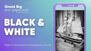 Learn How to Create Striking Black And White Photos Using Your Smartphone  Week 11