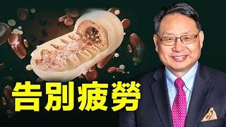 總是疲勞？五個改變幫助你提高能量水平，告別慢性疲勞，元氣滿滿！