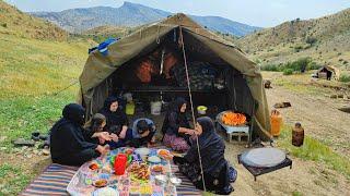 IRAN Village Cooking Relaxing Video about traditional Rural Dish Stew Chicken cooked پخت خورش مرغ