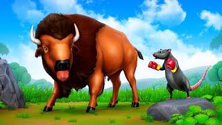 Bison vs Crazy Rat  Fun Play with Farm Animals  Farm Comedy Cartoons 2024  Funny Animals TV