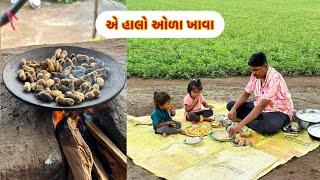 વાડીયે મગફળીના ઓળા અને બપોરનુ ભોજન  Lunch of farmers  Rural Life